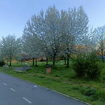 IMG20260404081522