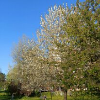IMG20260405182504