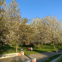 IMG20260405182554