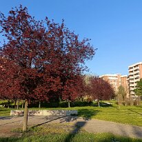 IMG20260405182645