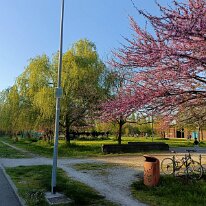 IMG20260405182724