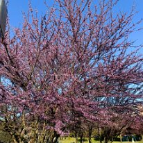 IMG20260405182738