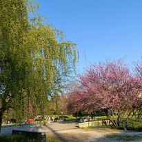 IMG20260405182756