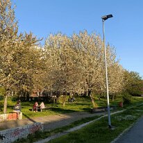 IMG20260405182933