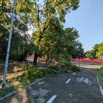 PXL_20260716_053201600