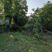 PXL_20260716_053300865