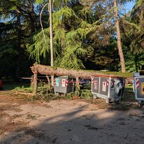 PXL_20260716_054909671