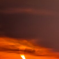 2026-08-12-20h08m10