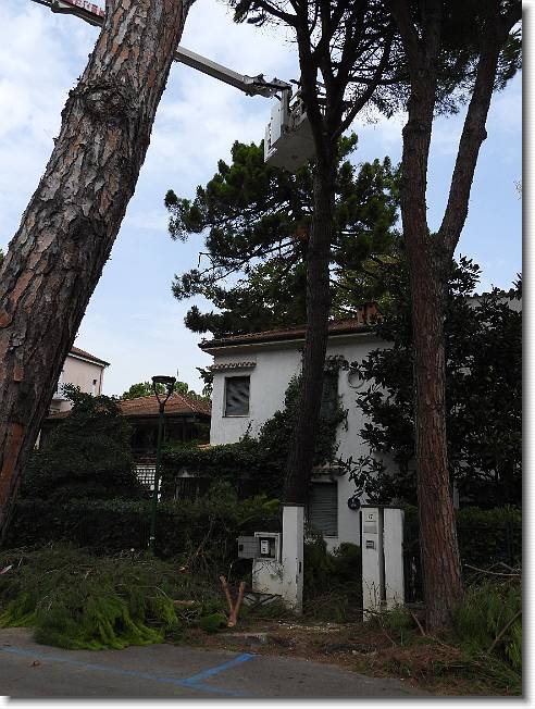 Clicca per scorrere le foto originali ingrandite