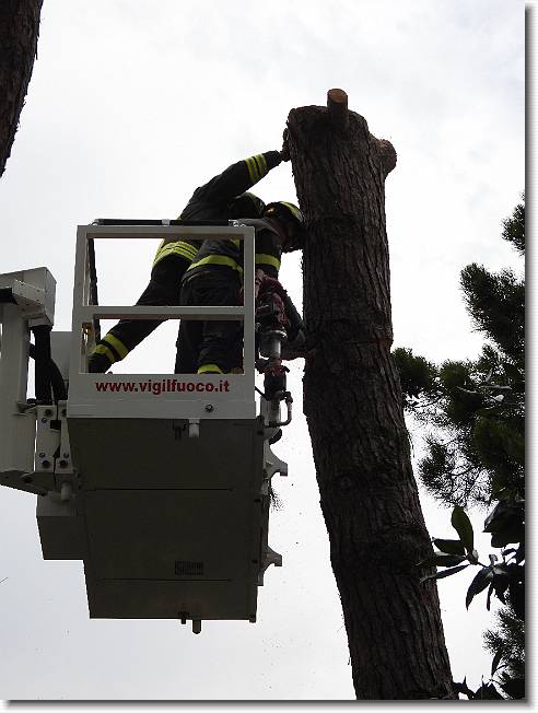 Clicca per scorrere le foto originali ingrandite