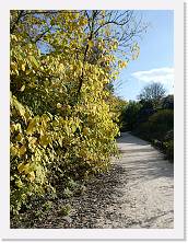 2025-10-29-13h50m41 * 5184 x 3888 * (10.27MB)