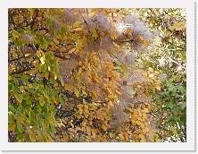 2025-10-29-13h54m09 * 5184 x 3888 * (10.21MB)