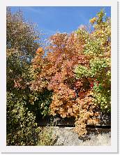 2025-10-29-13h57m06 * 5184 x 3888 * (10.11MB)
