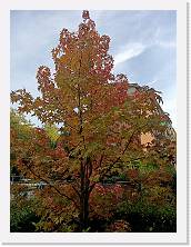 2025-10-19-16h53m27 * 3468 x 4624 * (6.39MB)