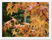 2025-10-25-13h57m12 * 5184 x 3888 * (10.29MB)