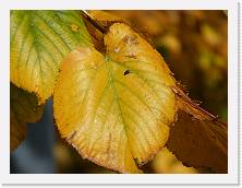 2025-10-29-14h31m45 * 5184 x 3888 * (9.66MB)