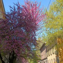 IMG20260403145710