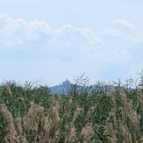 PXL_20260509_122635018