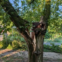 PXL_20260716_053348481