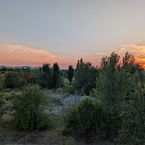 2026-08-12-20h06m24