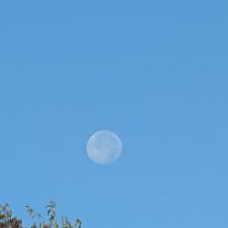 2026-09-28-08h05m30